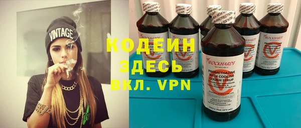 дживик Абаза