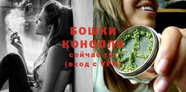 индика Няндома