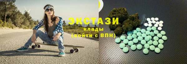 индика Няндома