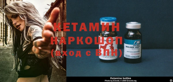 индика Няндома