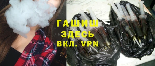 индика Няндома