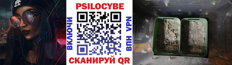 Галлюциногенные грибы Cubensis  МЕГА зеркало  Кедровый 